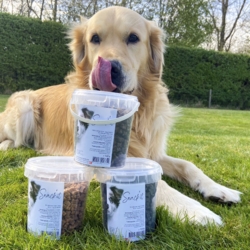 Snack'it Mini Bones Kylling