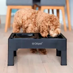 Ollipet Tanaka Foderstation kan reguleres i højden