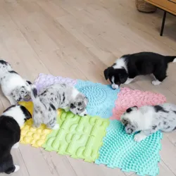 Ollipet Activity Puzzle Mats