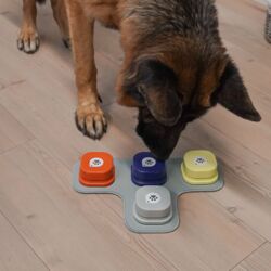 Min-Hund-Kan-Tale-Knap | 4pak OUTLET