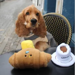 Ollipet Hide-a-Treat | Croissant  er et sjovt legetøj til hunden