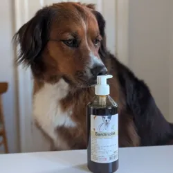 Brug olie som tilskud til din hund