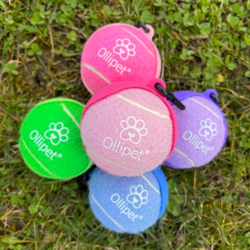 Ollipet tennisbolde i flotte farver med holder til at sætte på hundesnoren