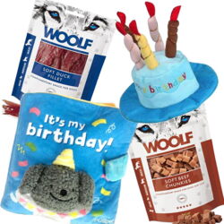 Fødselsdagspakke til hunde