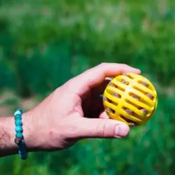 Hunter Kastelegetøj | Bold kan kombineres med godbidder