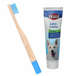 Ollipet Bambus Tandbørstesæt er den ideelle løsning til at forbedre hundens mundhygiejne