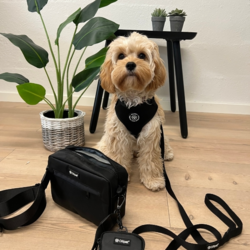 City Lux Midnight Black sættet inkluderer en hundesele, en line og en godbidstaske