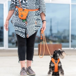 Godbidstasken passer til alle DOG Copenhagen liner