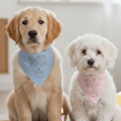Ollipet Min første fødselsdag | Bandana