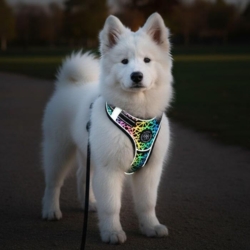 Ollipet Refleks Step-in Hundesele