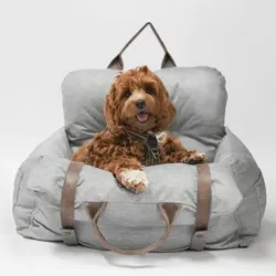 Loui i sin autostol i grå