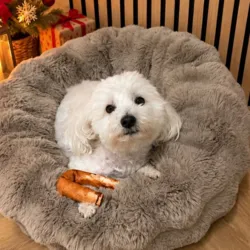 Sally med Dogman julestok tyggeben