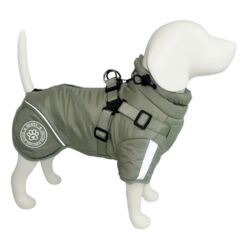 Ollipet Sirius de Luxe Dynejakke med refleks og sele