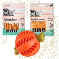 Halloween aktivitetssæt til hunde. Med hundesnacks fra Companion og dentaplay bold fra Ollipet