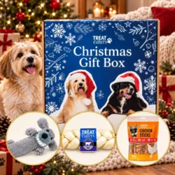 Treateaters Christmas Gift Box er en lækker julegave til hunden med godbidder, tyggeben og pivelygelegetøj samlet i en flot gaveæske