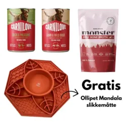 Lækre hundesnacks og en gratis Ollipet Mandala slikkemåtte. Perfekt til mental stimulering af hunden.