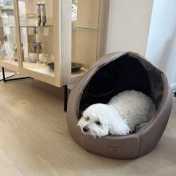 Hygge i Ollipet Halo hyggehule