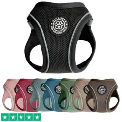 Ollipet for wagging tail step in hundesele fås i 8 flotte farver