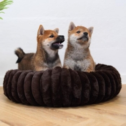 Flot mørkebrun hundekurv, med 2 Shiba hvalpe