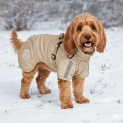 Ollipet Sirius DeLuxe Dynejakke Sand | OUTLET