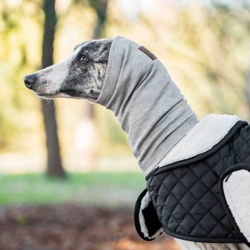 Ollipet Calm Hoodie