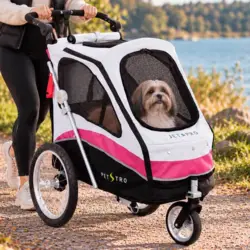 Hundeklapvogn med roterbart forhjul og justerbart styr – perfekt til gåturen