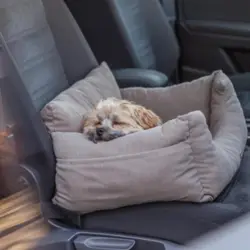 Med denne autokurv sikrer du komfortable biltransport af din hund.