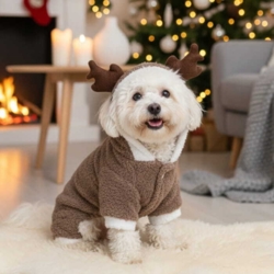 Rigtig sød dragt til juledagene eller de kolde måneder