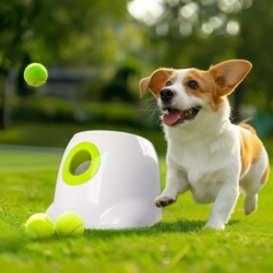 AFP Mini Ball Launcher – Automatisk boldkaster til hunde