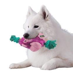 Glæden er stor, når hunden leger med den farverige abe fra AFP Safari