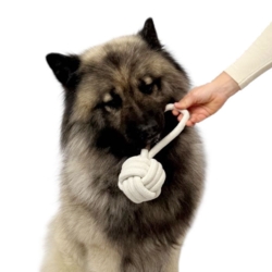 Pawise Premium Kraftig Rebbold | m. håndtag