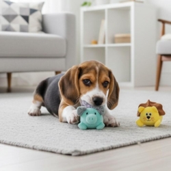 Beagle som leger med plyslegetøjet