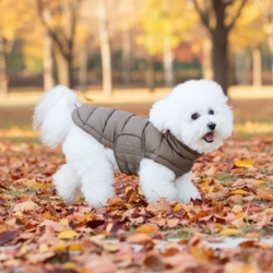 Ollipet Alpine Explorer Hundejakke