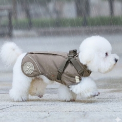 Den bedste regnjakke til mindre hunde