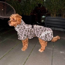 I fuld refleks, så den er synlig på en mørk gåtur