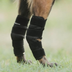 Effektive hasebandager til både små og store hunde