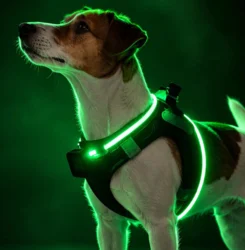 Step-in hundesele med LED-lys – nem at give på og lyser effektivt i mørke