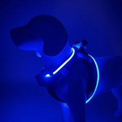 LED-hundesele der kombinerer synlighed, komfort og stil