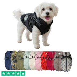 Ollipet Arctic Explorer | Model 1.0