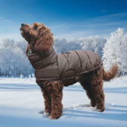 Fantastisk hundejakke med rigtig god pasform!