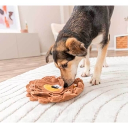 Lad hunden arbejde med at snuse sig frem til godbidderne