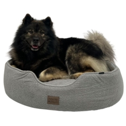 Eurasier i Nordic Paws Sofus Hundeseng