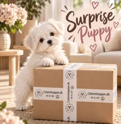 Pakketilbud | Puppy Surprise Box