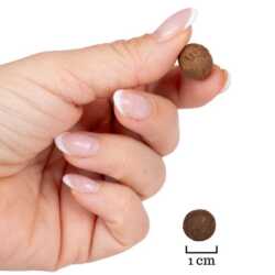 Små bløde hundegodbidder i mini kugler på ca. 1 cm