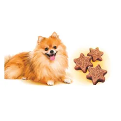 Lækre Brit Care Dog Mini Treats Shine hundesnacks i små stjerneformede bidder. Perfekte som belønning til små hunde som pomeranian