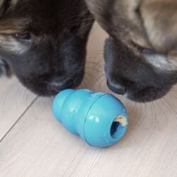 Pakketilbud | KONG Puppy Aktiveringssæt