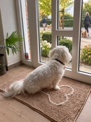 Pawise Microfiber Chenille Hundemåtte | 50x80cm