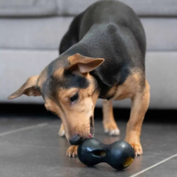 Hund aktiveres med det peanutformede legetøj fyldt med godbidder