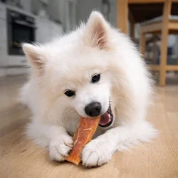 En lækker snack der er produceret i Sverige og er helt naturlig