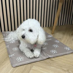 Ollipet Kølemåtte med kølegel og skumgummimadras